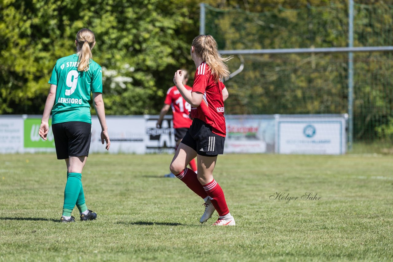 Bild 173 - F SG NieBar - IF Stjernen Flensborg : Ergebnis: 2:0